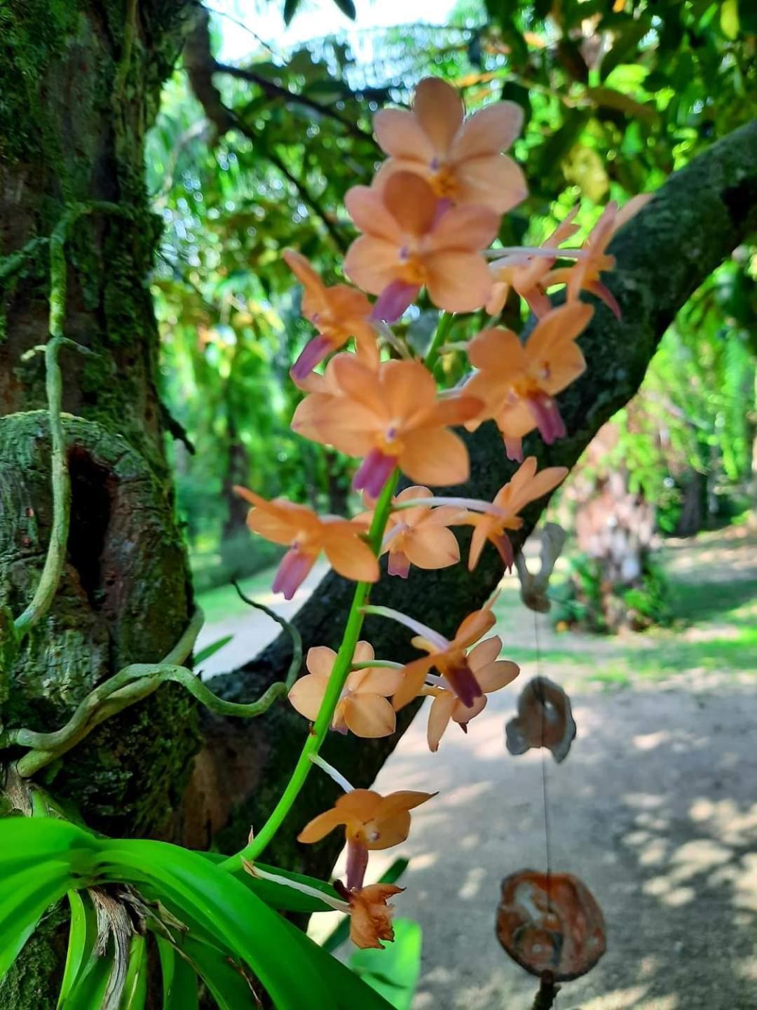 Tuaprodhome Khao Lak Zimmer foto