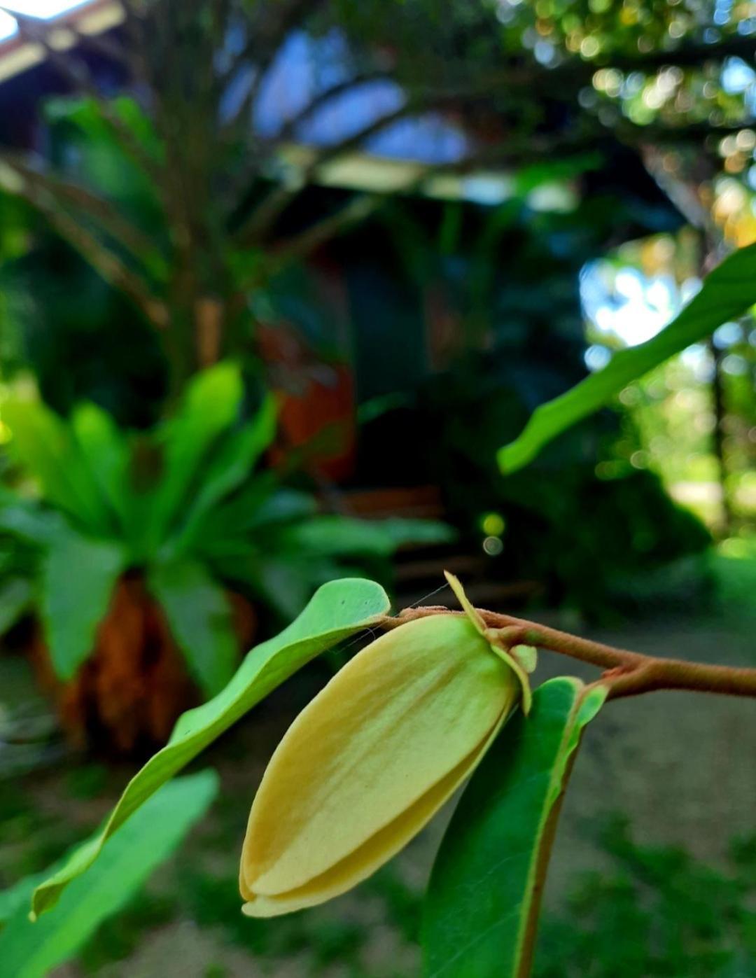 Tuaprodhome Khao Lak Zimmer foto