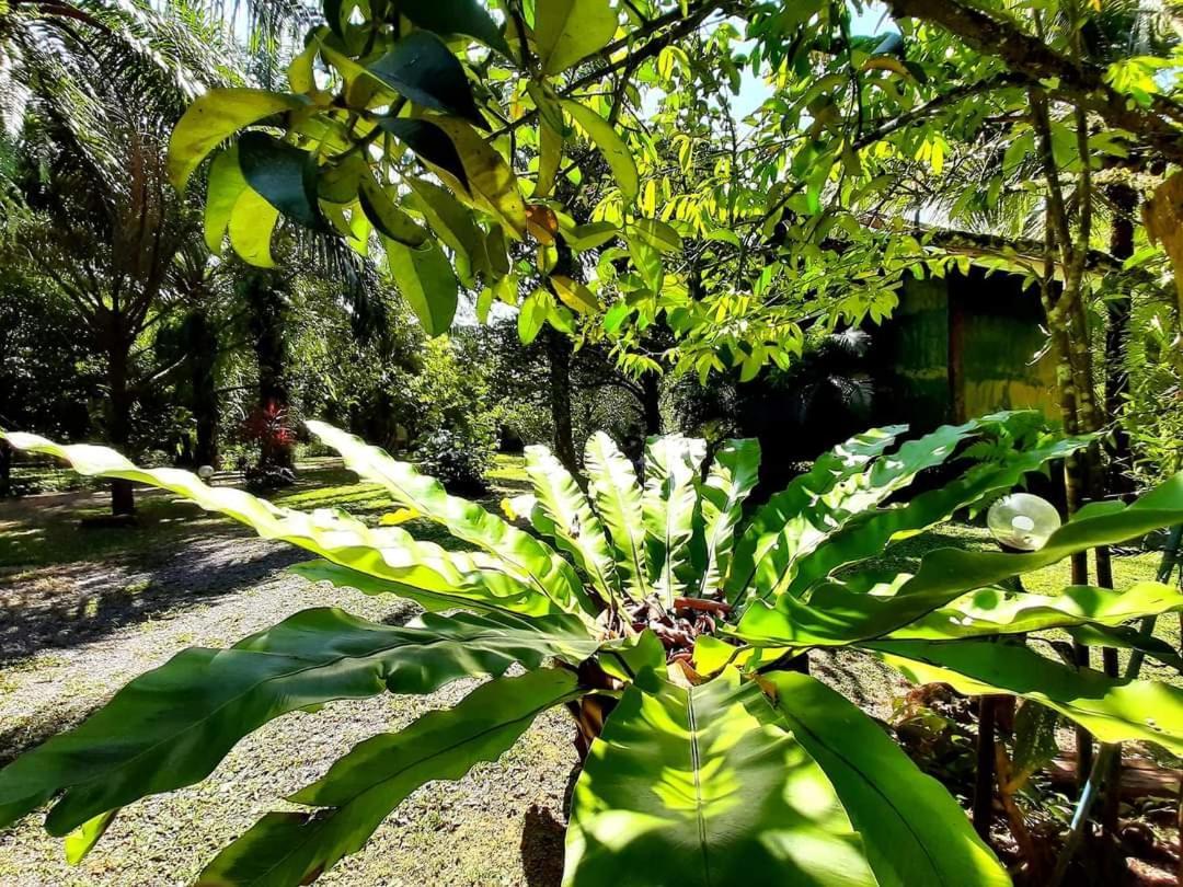 Tuaprodhome Khao Lak Zimmer foto