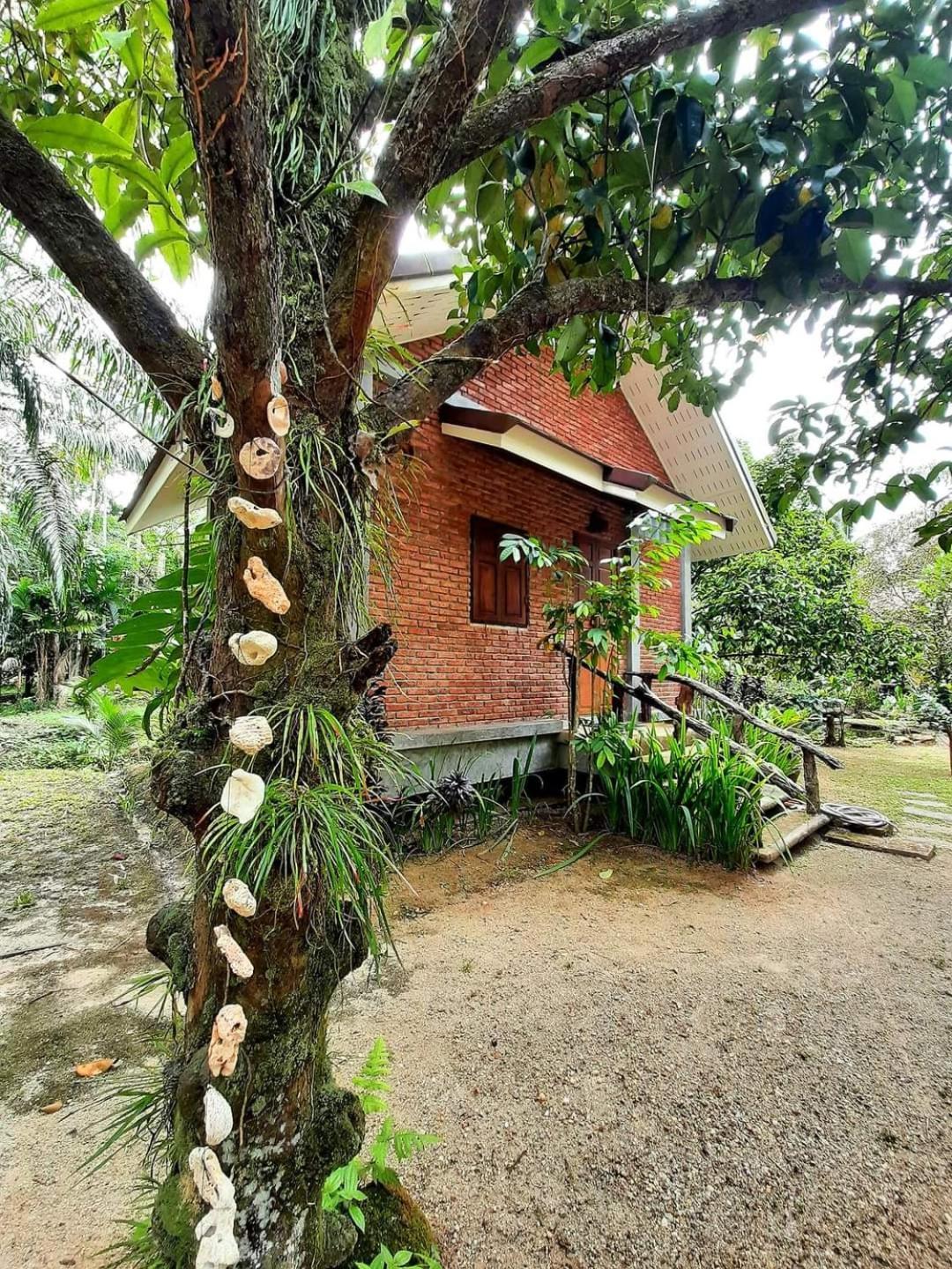 Tuaprodhome Khao Lak Zimmer foto