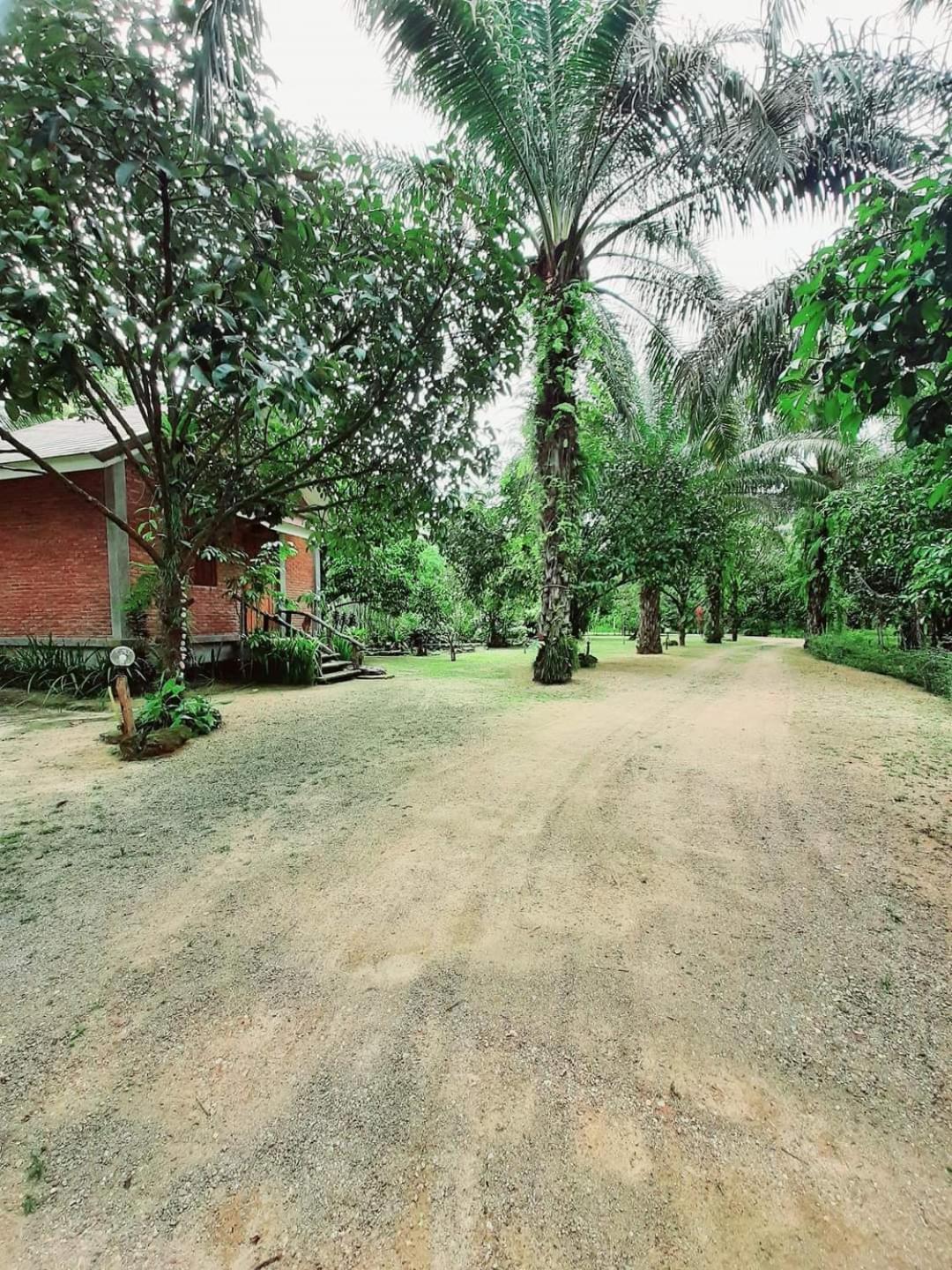 Tuaprodhome Khao Lak Zimmer foto
